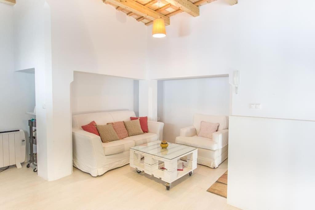Loft Con Terraza Privada Apartament